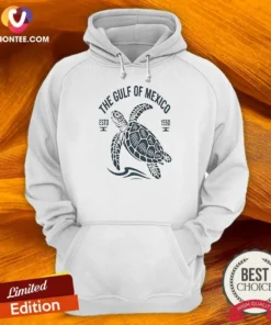 Funny Sea Turtle The Gulf Of Mexico Estd 1550 Hoodie