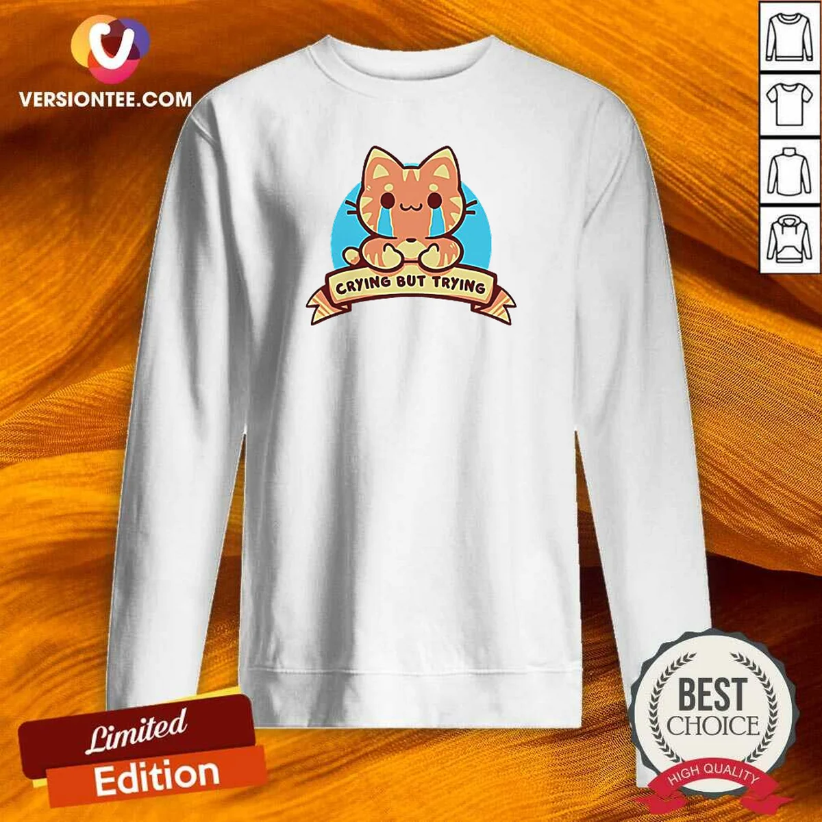Pretty Crying But Trying Tabby Cat Kitten Emotional Support Mental Health Awareness Sweatshirt