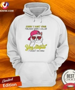 Premium Cat Sorry I Hurt Your Feelings When I Called You Stupid I Thought You Knew Hoodie in black, front view with printed text design
