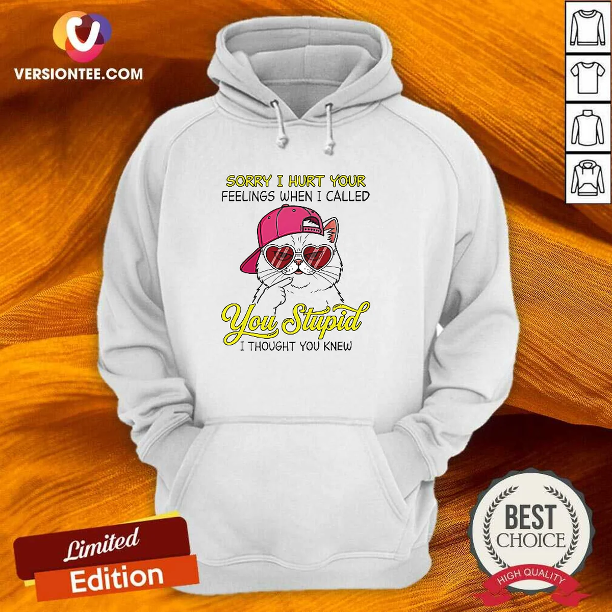 Premium Cat Sorry I Hurt Your Feelings When I Called You Stupid I Thought You Knew Hoodie in black, front view with printed text design