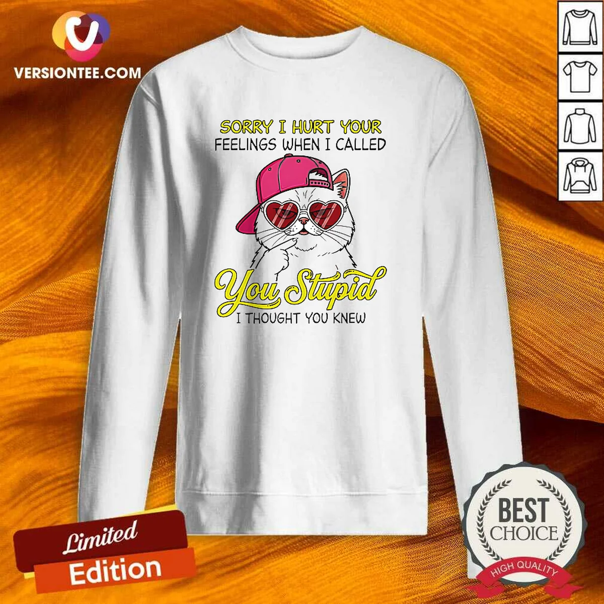 Premium Cat Sorry I Hurt Your Feelings When I Called You Stupid I Thought You Knew Sweatshirt